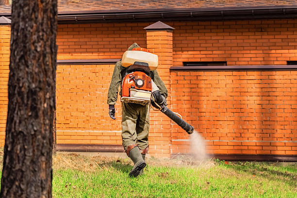 Trusted Cockroach Control service in Grand Point, LA - Nex Pest Control